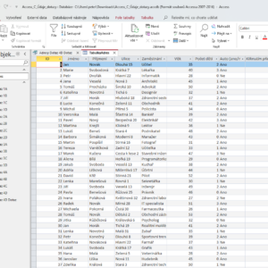 Access D Údaje Dotazy Screen